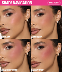 Blush Filter Blurring Blushlighters Palette