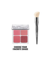 Blush & Brush Kit